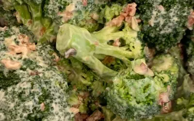 Skinny Broccoli Salad